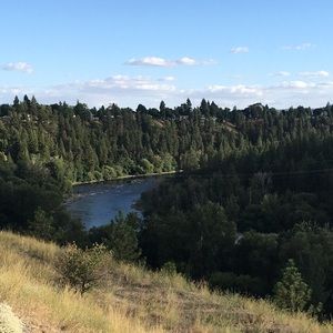 Meet your Posher, Tricia